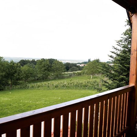 Apartma-Spa Natura Sveti Jurij ob Scavnici Exterior foto
